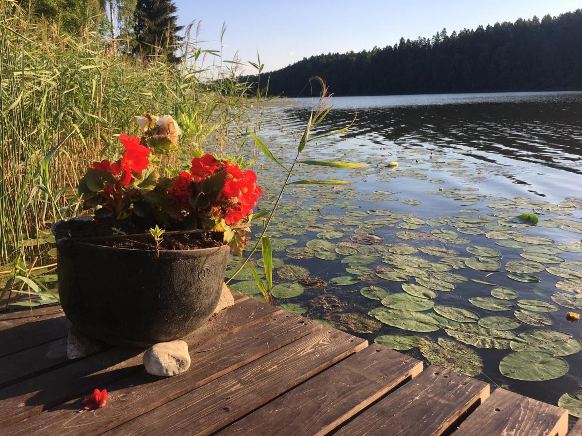 Denderi Villa Rubene Eksteriør bilde