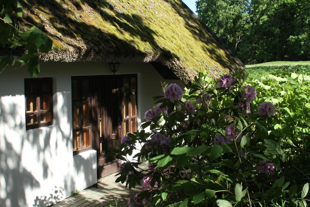 Denderi Villa Rubene Rom bilde