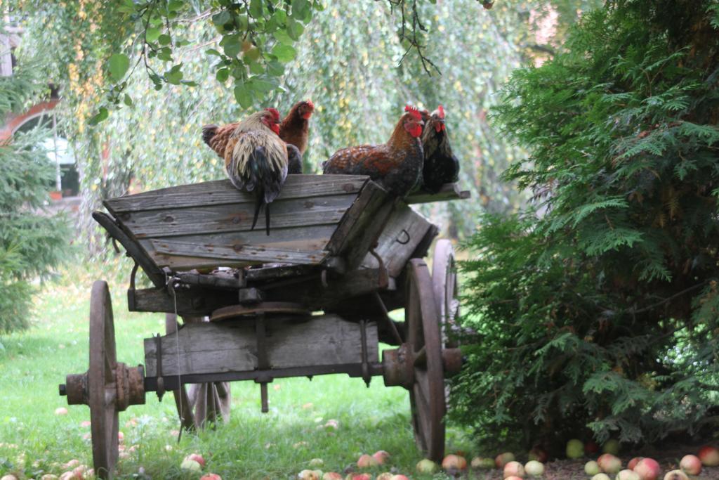 Denderi Villa Rubene Rom bilde